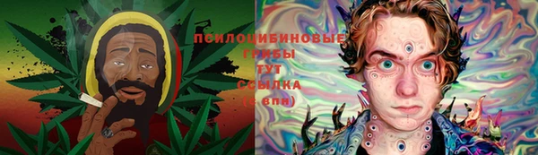 скорость Белокуриха