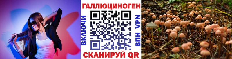 Псилоцибиновые грибы прущие грибы  Купить закладки  Сельцо 